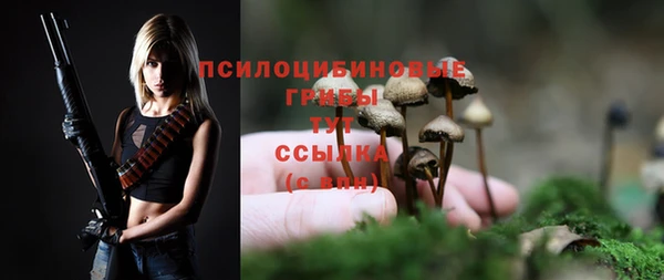 круглые Алексеевка