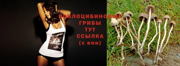 круглые Алексеевка