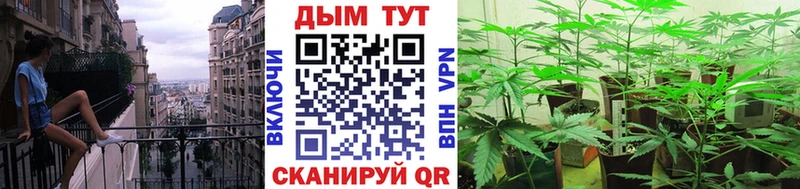 Конопля семена Кольчугино
